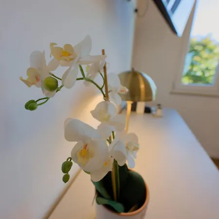 Apartament Nairobi - La Casa Di Carta